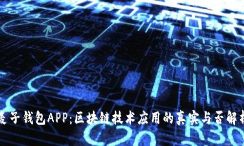 麦子钱包APP：区块链技术应用的真实与否解析