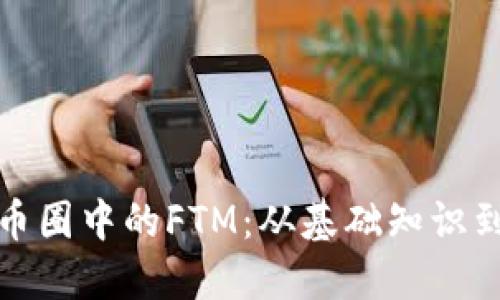 深入了解币圈中的FTM：从基础知识到投资策略