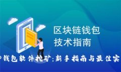 TP钱包软件挖矿：新手指南与最佳实践