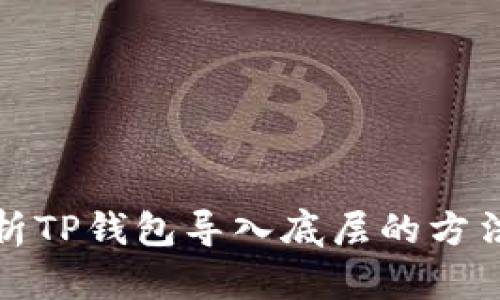 全面解析TP钱包导入底层的方法与技巧