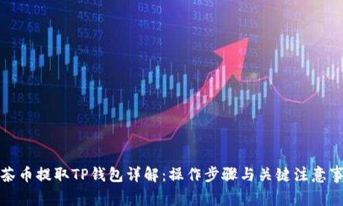 抹茶币提取TP钱包详解：操作步骤与关键注意事项