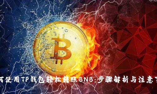 如何使用TP钱包轻松转账BNB：步骤解析与注意事项