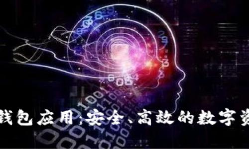 全面解读TP钱包应用：安全、高效的数字资产管理工具