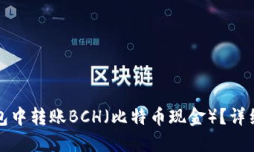 如何在TP钱包中转账BCH（比特币现金）？详细指南与技巧