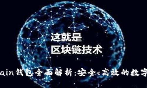 TP的SmartChain钱包全面解析：安全、高效的数字资产管理方案