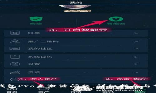 如何解决TP钱包Pro未激活问题：详细指南与常见问题解答