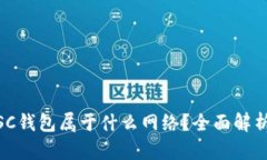 TP钱包中的BSC钱包属于什么