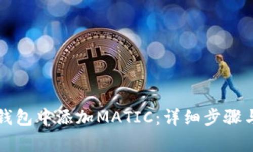 如何在TP钱包中添加MATIC：详细步骤与注意事项