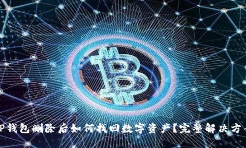 TP钱包删除后如何找回数字资产？完整解决方案