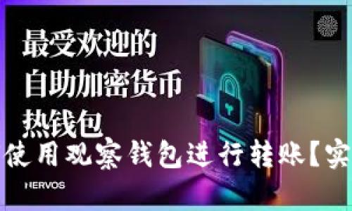 TP钱包中如何使用观察钱包进行转账？实用指南与技巧