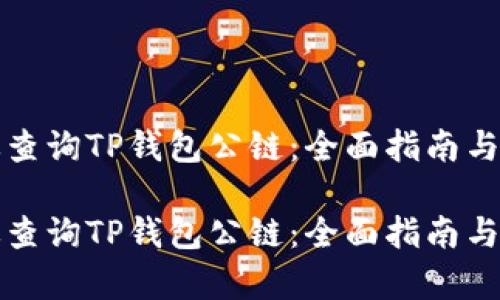 如何有效查询TP钱包公链：全面指南与最佳实践

如何有效查询TP钱包公链：全面指南与最佳实践