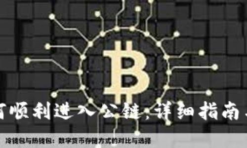 TP钱包如何顺利进入公链：详细指南与实用建议