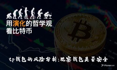 tp钱包的风险分析：观察钱包是否安全