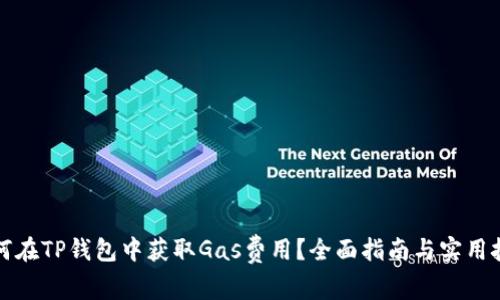 如何在TP钱包中获取Gas费用？全面指南与实用技巧