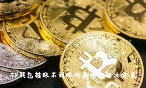 TP钱包转账不到账的原因及解决方案