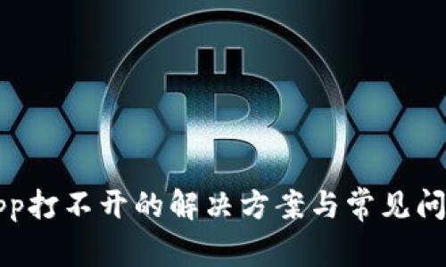 钱包App打不开的解决方案与常见问题解析