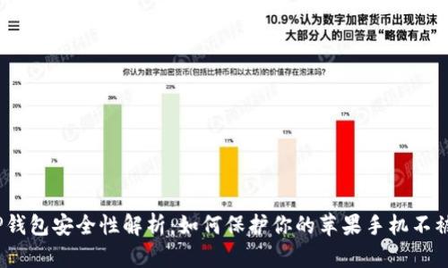 :TP钱包安全性解析：如何保护你的苹果手机不被盗