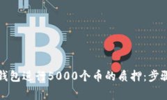 如何使用TP钱包进行5000个