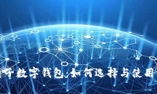 全球最大电子数字钱包：如何选择与使用的全面指南