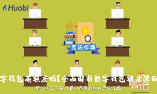 开通数字钱包有额度吗？全面解析数字钱包额度限制与管理