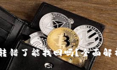 TP钱包USDT转错了能找回吗？全面解析与解决方案