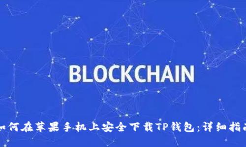 如何在苹果手机上安全下载TP钱包：详细指南