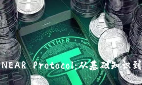 全面了解NEAR Protocol：从基础知识到投资策略