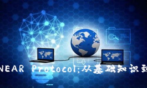 全面了解NEAR Protocol：从基础知识到投资策略