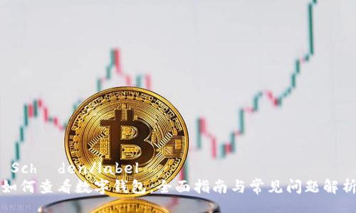  Schäden/label
如何查看数字钱包：全面指南与常见问题解析