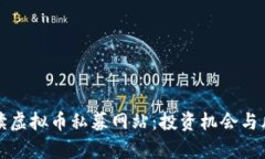 全面解读虚拟币私募网站