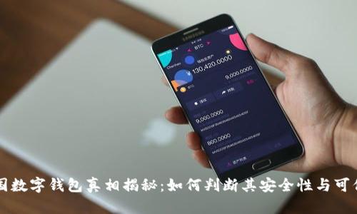 中国数字钱包真相揭秘：如何判断其安全性与可信度