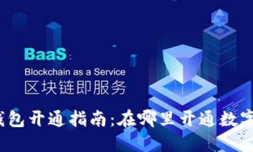 数字钱包开通指南：在哪里开通数字钱包？