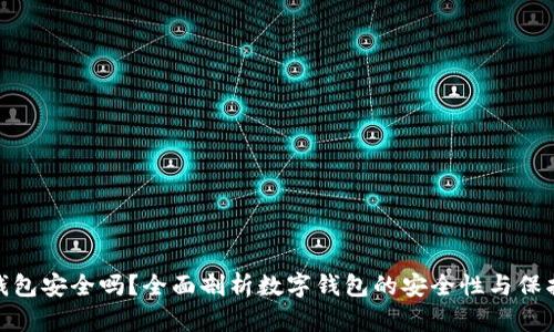 数字钱包安全吗？全面剖析数字钱包的安全性与保护措施