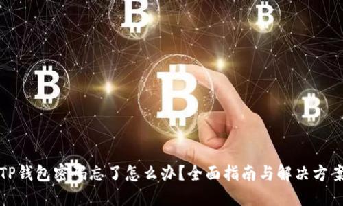 TP钱包密码忘了怎么办？全面指南与解决方案