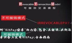 以下是针对“BitPay安卓”