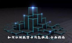 如何识别数字币钱包骗局