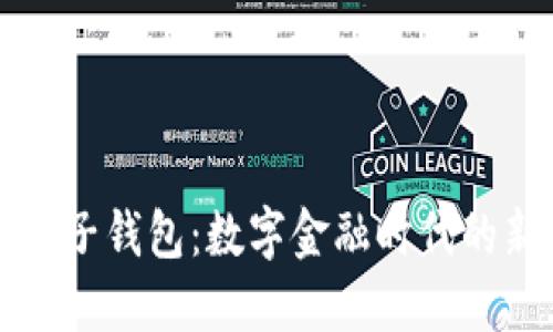 中国区块链电子钱包：数字金融时代的新机遇与挑战