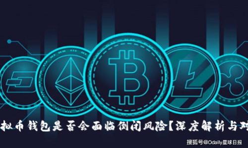 虚拟币钱包是否会面临倒闭风险？深度解析与对策