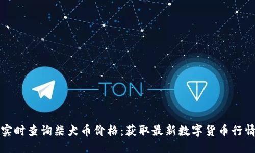 实时查询柴犬币价格：获取最新数字货币行情
