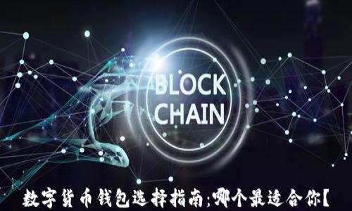 
数字货币钱包选择指南：哪个最适合你？