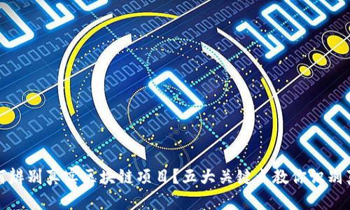 如何辨别真实区块链项目？五大关键点教你识别真伪