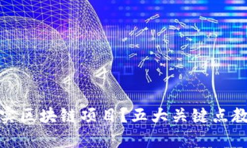 如何辨别真实区块链项目？五大关键点教你识别真伪