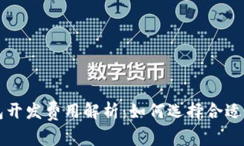 区块链钱包开发费用解析：如何选择合适的开发方案
