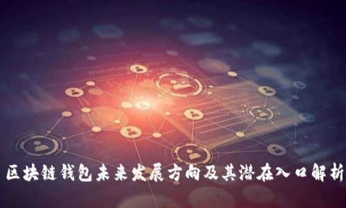 区块链钱包未来发展方向及其潜在入口解析
