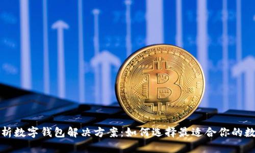 全面解析数字钱包解决方案：如何选择最适合你的数字钱包