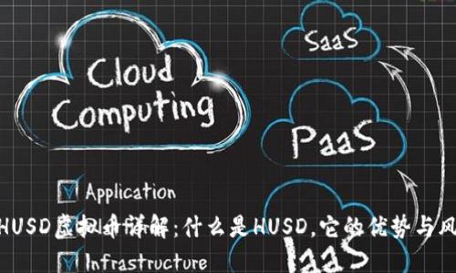 : HUSD虚拟币详解：什么是HUSD，它的优势与风险