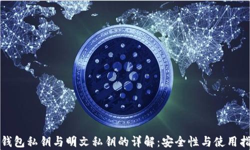 
tp钱包私钥与明文私钥的详解：安全性与使用指南