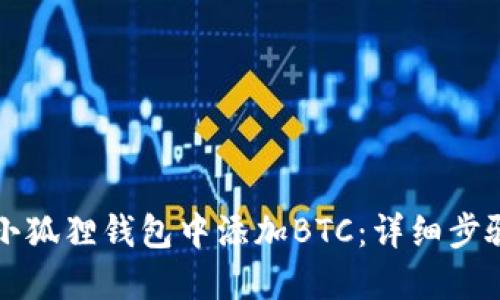 如何在小狐狸钱包中添加BTC：详细步骤与指南