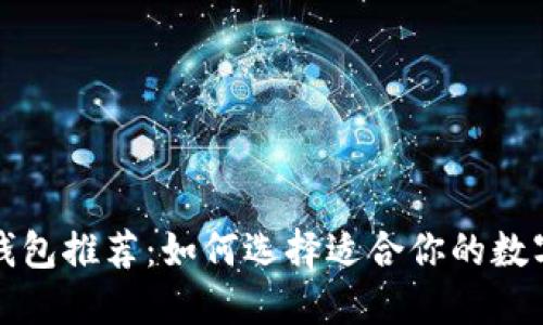 十大数字货币钱包推荐：如何选择适合你的数字资产管理工具