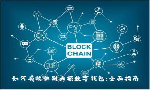 如何有效识别大额数字钱包：全面指南